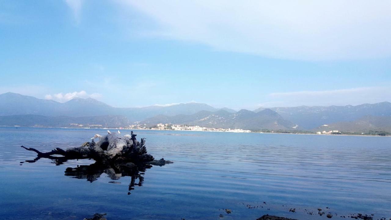 Hotel Sole E Mare Saint-Florent  Eksteriør billede